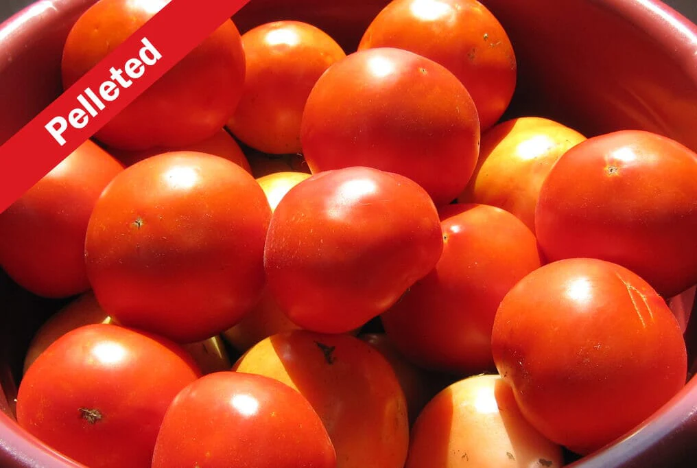Bella Rosa Hybrid Tomato F1