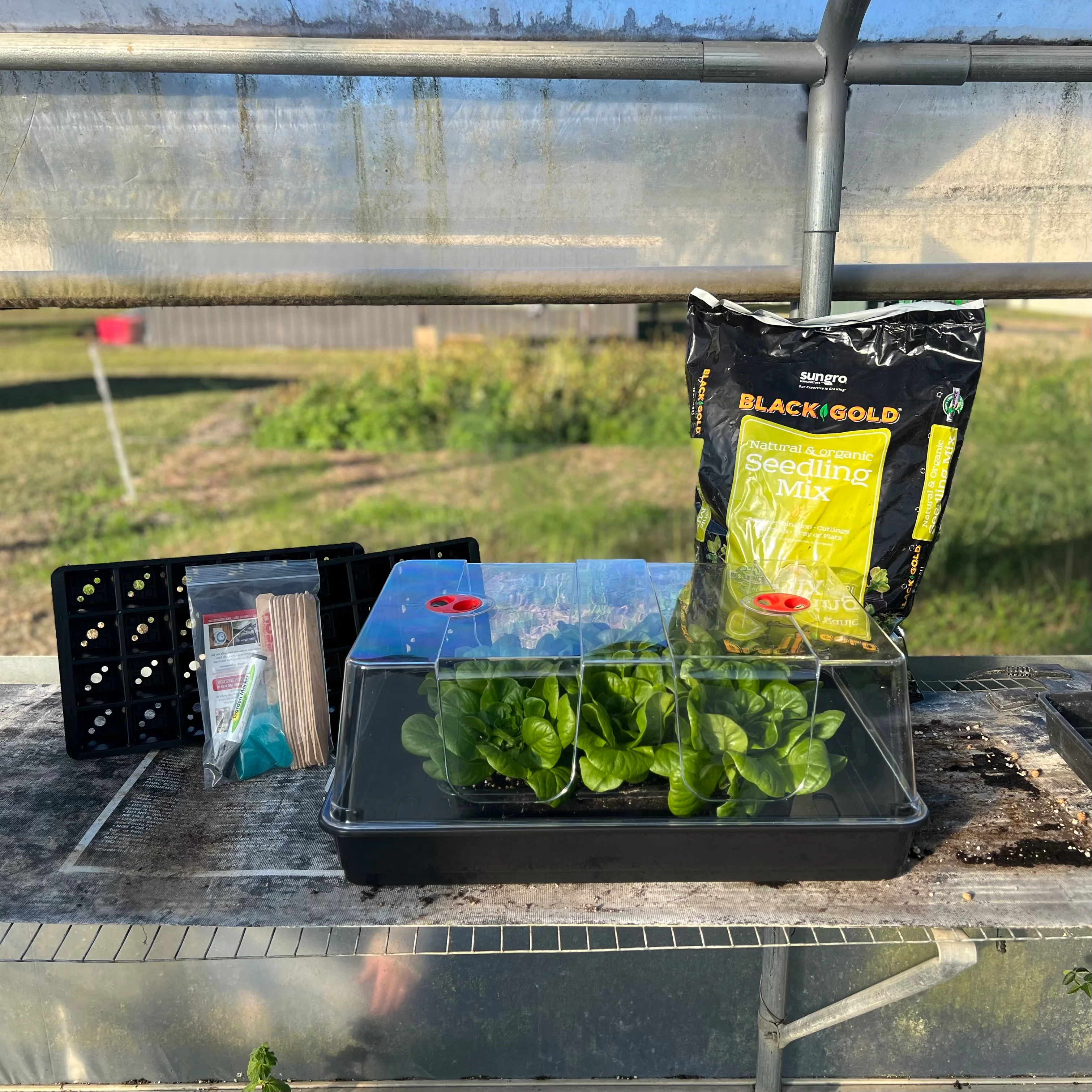Deluxe Seed Starting Kit - Image 2