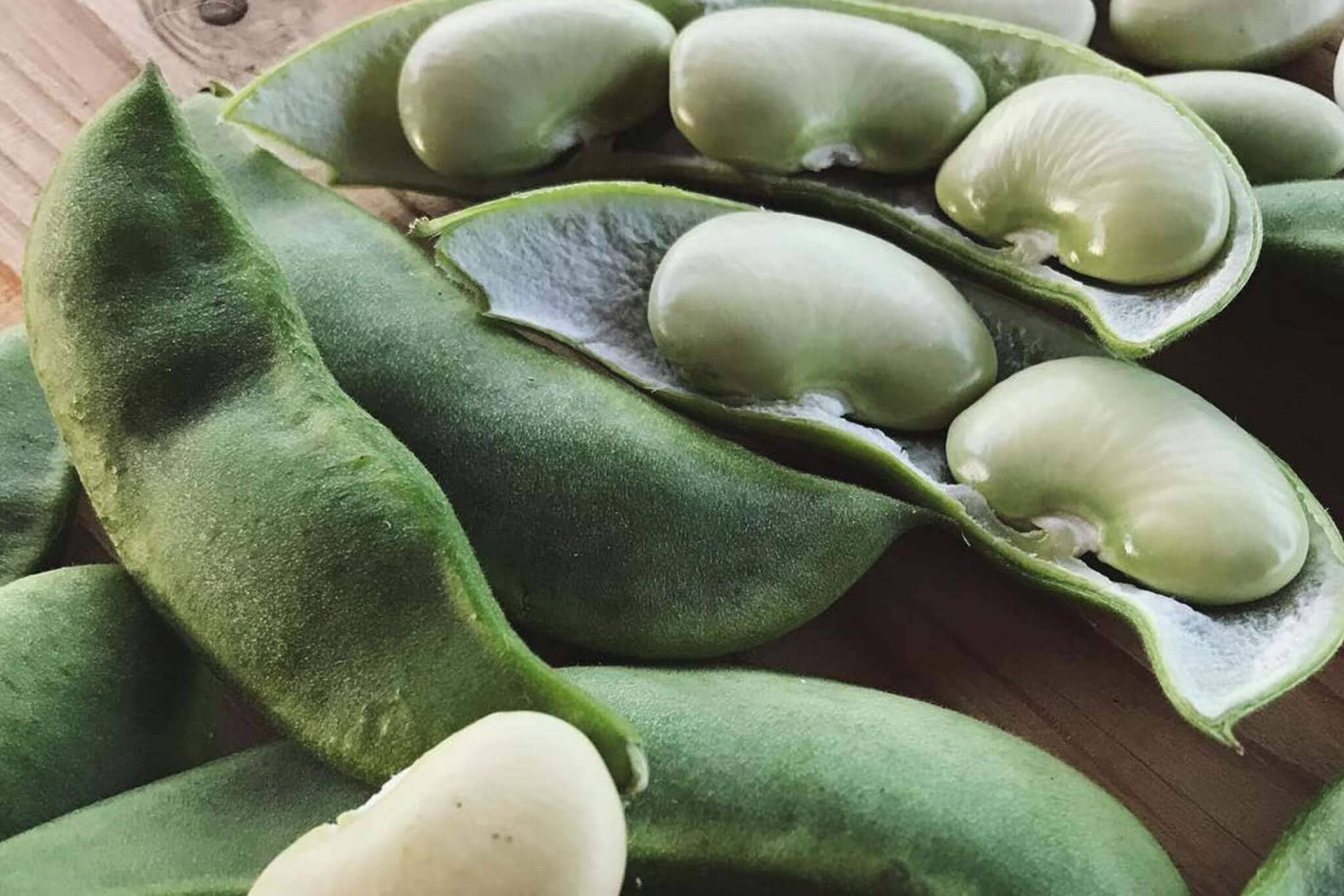 King Of The Garden Lima Pole (Climbing Butter) Bean