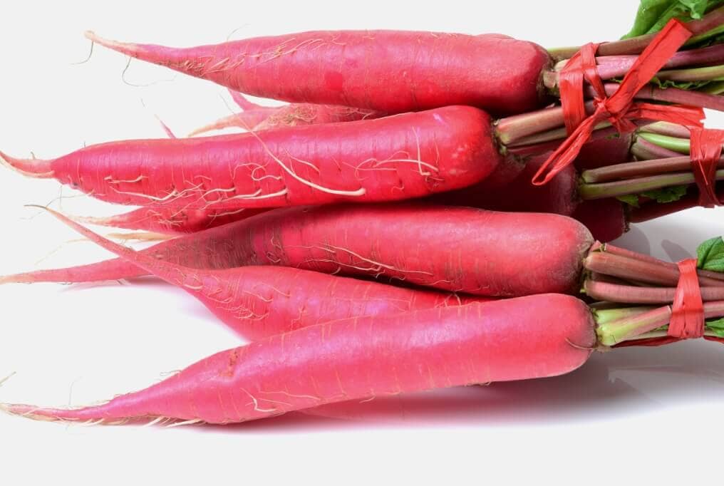 Shunkyo Semi-Long Radish