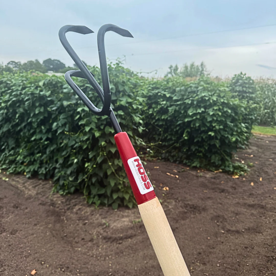 Triple Tine Cultivator