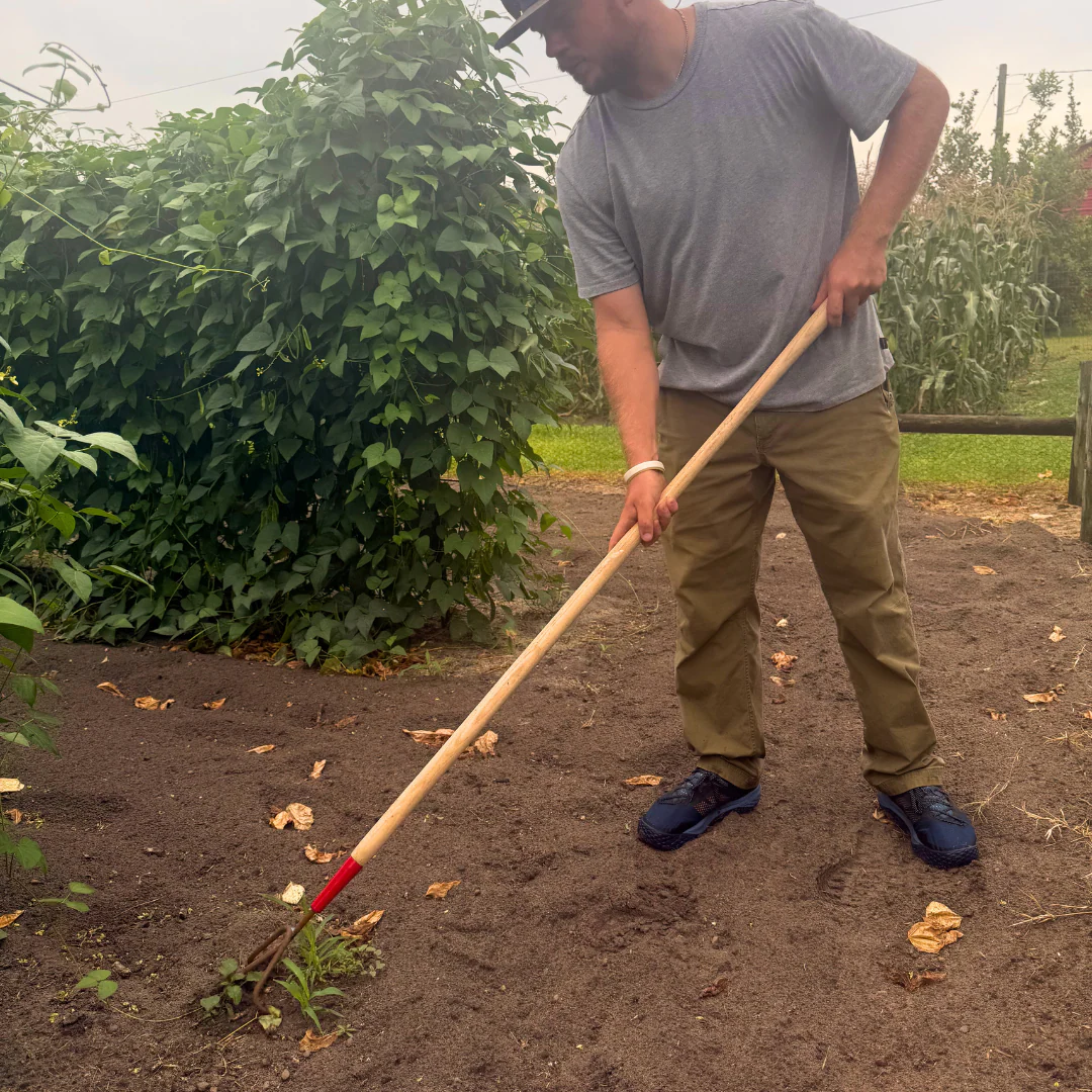 Triple Tine Cultivator - Image 2